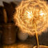 Blissful Bright Dandelions - Customer Photo From Willow J.
